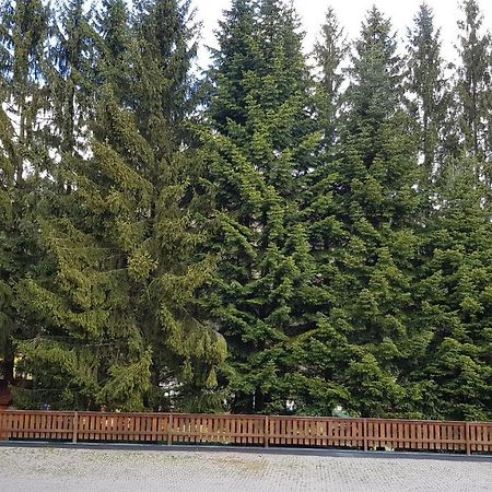 Apartmany 33 A 8 Ad Kamzik Donovaly Luaran gambar